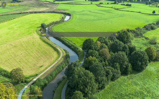 Nature Theme Tab  from Chrome web store to be run with OffiDocs Chromium online