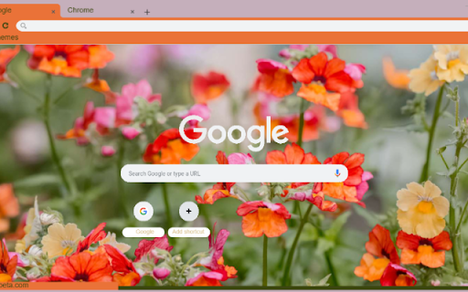 Nemesia  from Chrome web store to be run with OffiDocs Chromium online