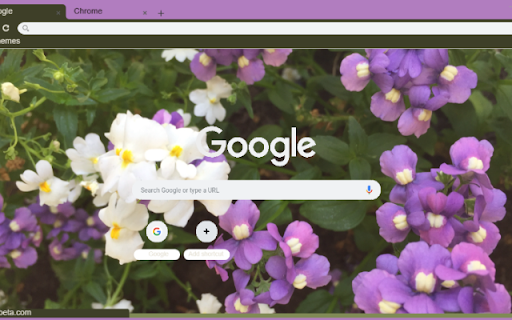 Nemesia Strumosa  from Chrome web store to be run with OffiDocs Chromium online