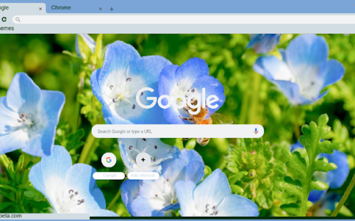 Nemophila  from Chrome web store to be run with OffiDocs Chromium online