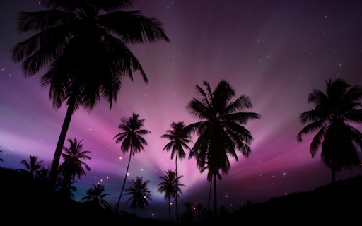 Neon Palm Trees at Night  from Chrome web store to be run with OffiDocs Chromium online
