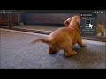 Netflix Video Bender: rotate and zoom video  from Chrome web store to be run with OffiDocs Chromium online
