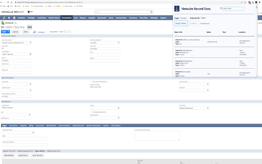 NetSuite Record Data  from Chrome web store to be run with OffiDocs Chromium online