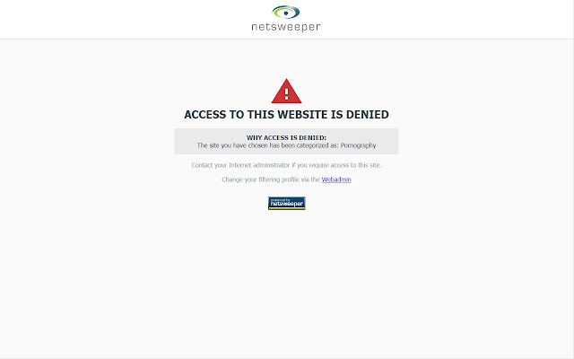 Netsweeper Client Filter  from Chrome web store to be run with OffiDocs Chromium online