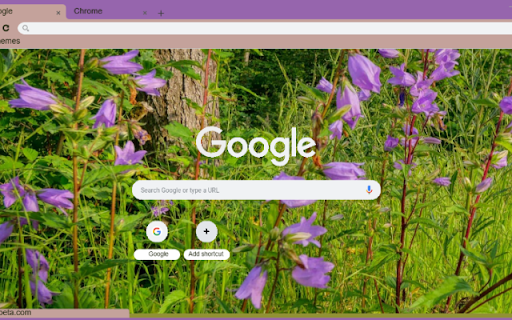 Nettle leaved Bellflower  from Chrome web store to be run with OffiDocs Chromium online