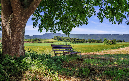 New countryside  from Chrome web store to be run with OffiDocs Chromium online