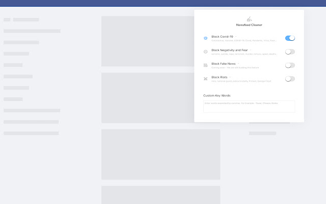 Newsfeed Cleaner  from Chrome web store to be run with OffiDocs Chromium online