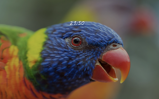 New Tab for Nature Heroes  from Chrome web store to be run with OffiDocs Chromium online