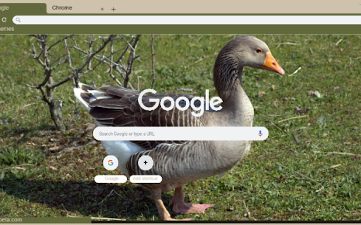 Ngong  from Chrome web store to be run with OffiDocs Chromium online