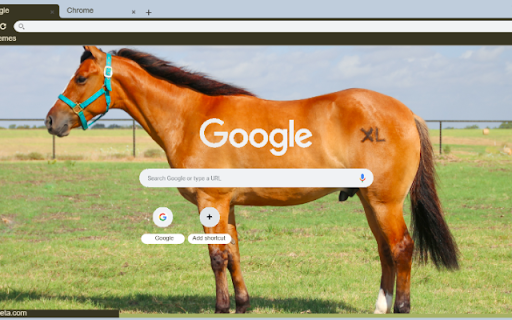 Ngua  from Chrome web store to be run with OffiDocs Chromium online