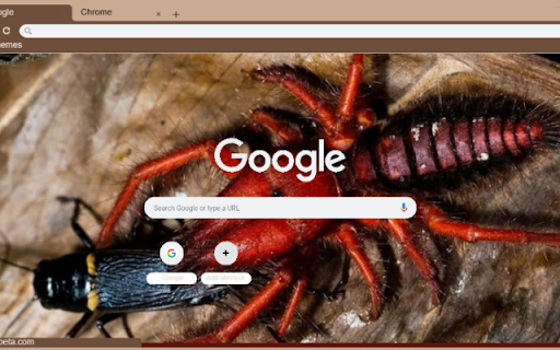 Nhen  from Chrome web store to be run with OffiDocs Chromium online