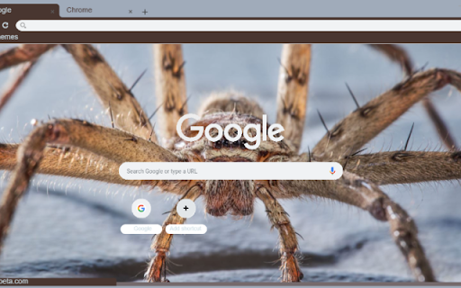 Nhen Da  from Chrome web store to be run with OffiDocs Chromium online