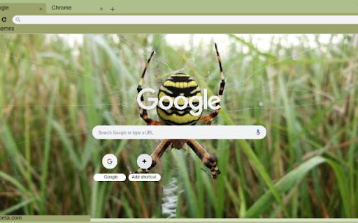 Nhen Dong  from Chrome web store to be run with OffiDocs Chromium online