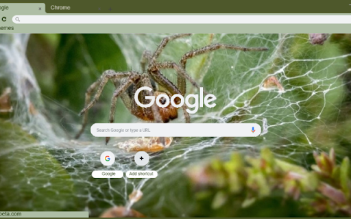 Nhen Mat Liem  from Chrome web store to be run with OffiDocs Chromium online