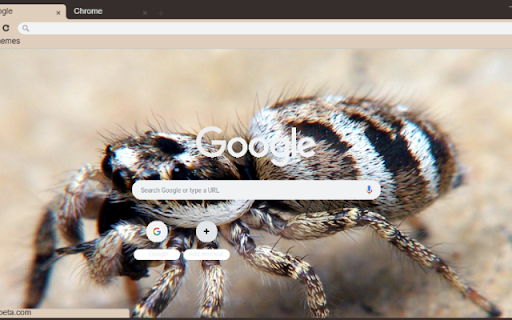 Nhen Nhay  from Chrome web store to be run with OffiDocs Chromium online