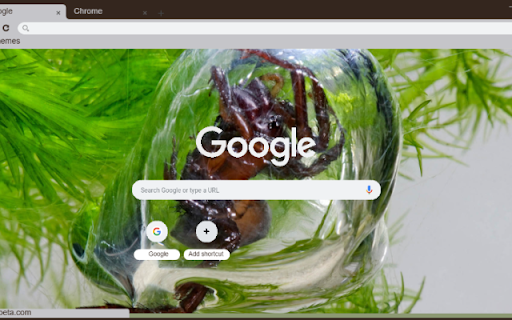 Nhen Nho  from Chrome web store to be run with OffiDocs Chromium online