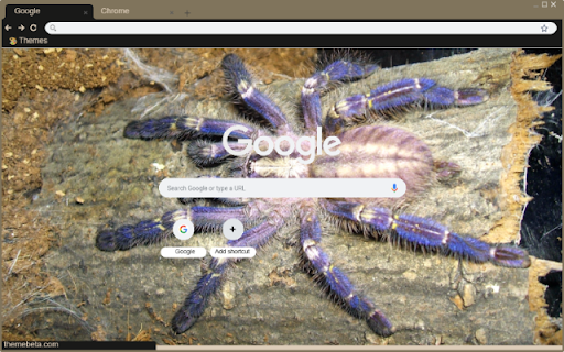Nhen tarantula  from Chrome web store to be run with OffiDocs Chromium online