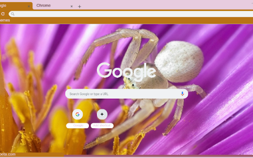 Nhen Trang  from Chrome web store to be run with OffiDocs Chromium online