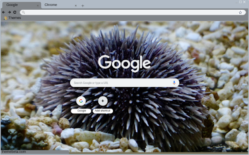 Nhim Bien  from Chrome web store to be run with OffiDocs Chromium online