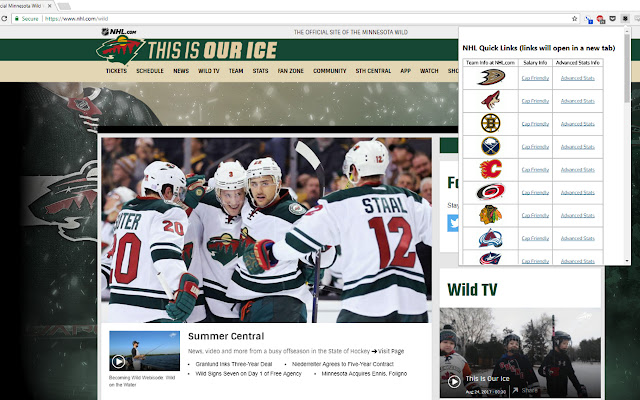 NHL Quick Links  from Chrome web store to be run with OffiDocs Chromium online