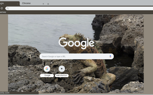 Nhong da  from Chrome web store to be run with OffiDocs Chromium online