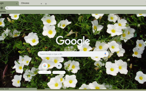 Nierembergia  from Chrome web store to be run with OffiDocs Chromium online