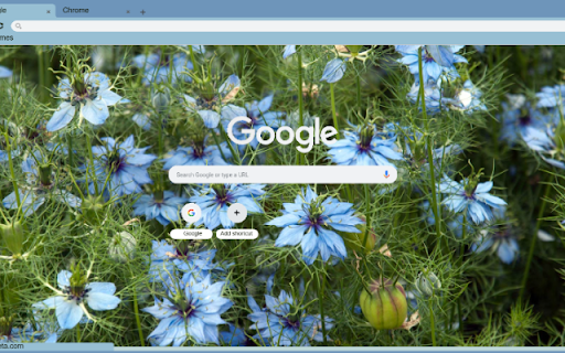 Nigella  from Chrome web store to be run with OffiDocs Chromium online