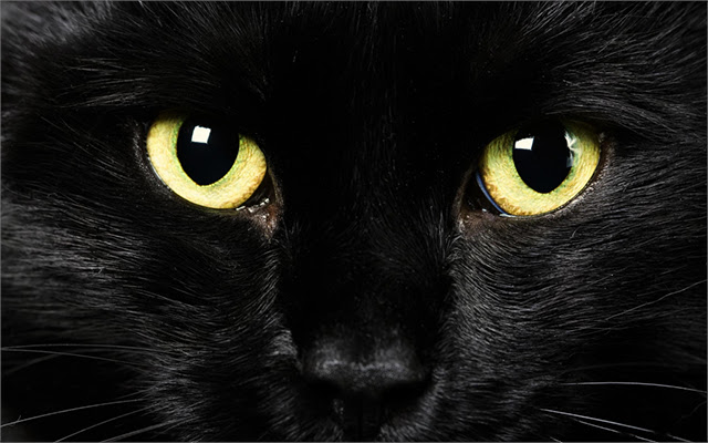 NightBits Chrome Black Style!  from Chrome web store to be run with OffiDocs Chromium online
