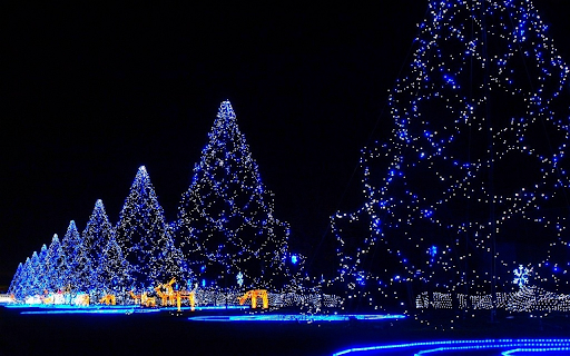 Night Christmas Decoration Browser Theme  from Chrome web store to be run with OffiDocs Chromium online