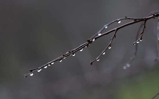night dew drops  from Chrome web store to be run with OffiDocs Chromium online