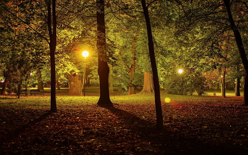 Night park  from Chrome web store to be run with OffiDocs Chromium online