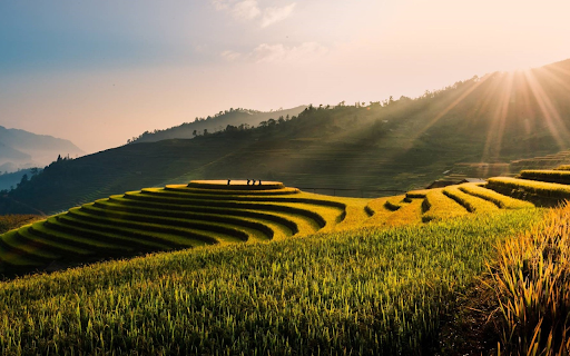 Nine terraced fields  from Chrome web store to be run with OffiDocs Chromium online