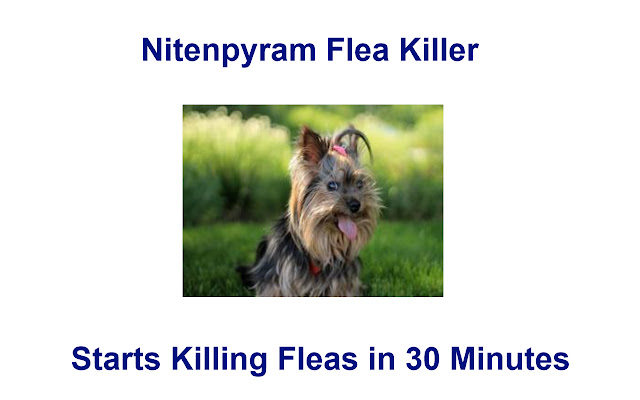 Nitenpyram Flea Killer  from Chrome web store to be run with OffiDocs Chromium online