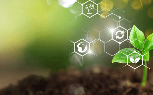 Nông nghiệp Agrinews  from Chrome web store to be run with OffiDocs Chromium online