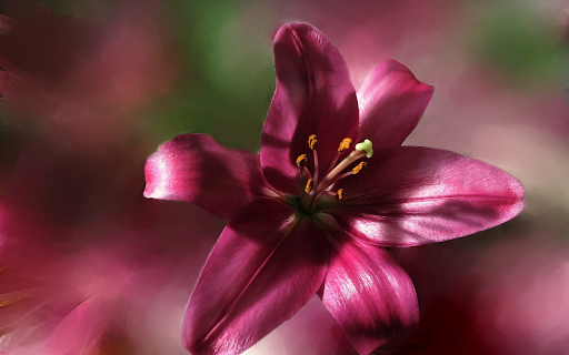 Noble lilies  from Chrome web store to be run with OffiDocs Chromium online