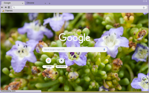 Nolana  from Chrome web store to be run with OffiDocs Chromium online
