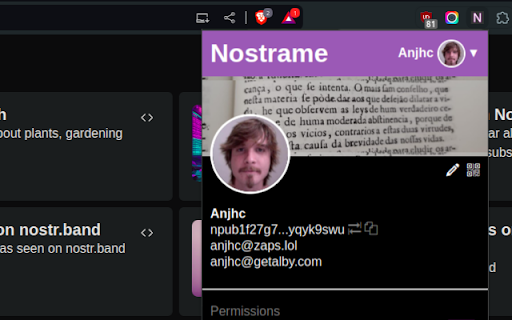 Nostrame  from Chrome web store to be run with OffiDocs Chromium online