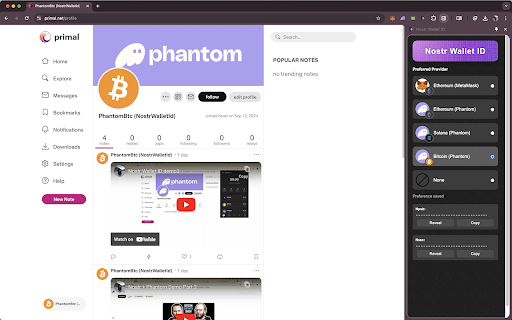 Nostr Wallet ID  from Chrome web store to be run with OffiDocs Chromium online