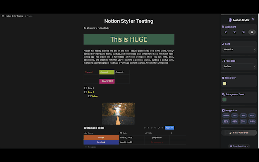 Notion Styler  from Chrome web store to be run with OffiDocs Chromium online