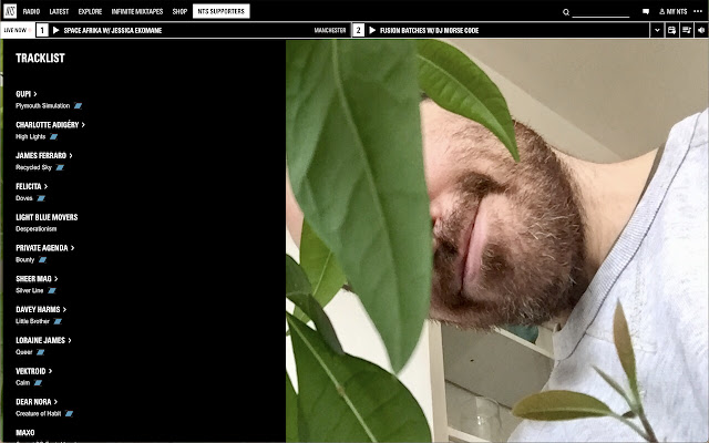 NTSxBandcamp  from Chrome web store to be run with OffiDocs Chromium online