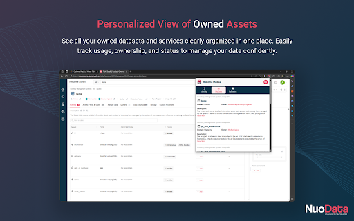 Nuodata Astra  from Chrome web store to be run with OffiDocs Chromium online