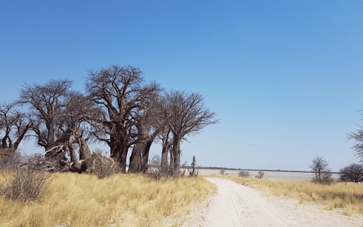 Nxai Pan National Park  from Chrome web store to be run with OffiDocs Chromium online