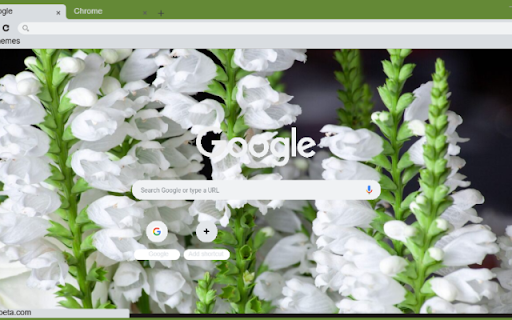 Obedient Plant White  from Chrome web store to be run with OffiDocs Chromium online