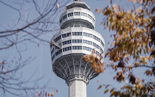 Observation Tower Framed by Autumnal Branches  from Chrome web store to be run with OffiDocs Chromium online