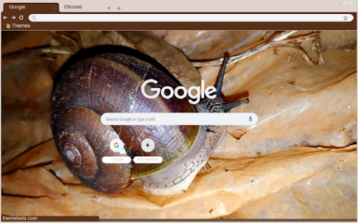 Oc  from Chrome web store to be run with OffiDocs Chromium online