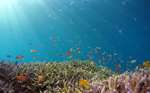 Oceanfish Theme  from Chrome web store to be run with OffiDocs Chromium online