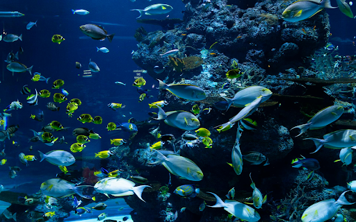 Oceanic Serenity  from Chrome web store to be run with OffiDocs Chromium online