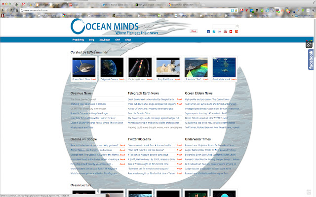 Oceanminds Sandbottom  from Chrome web store to be run with OffiDocs Chromium online