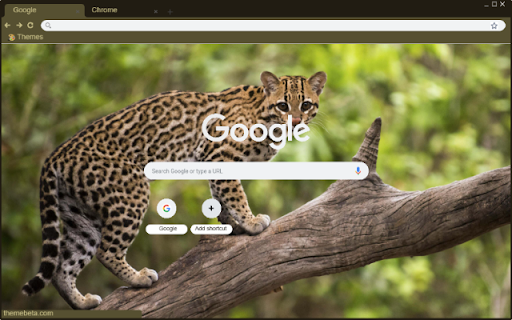 Ocelot  from Chrome web store to be run with OffiDocs Chromium online