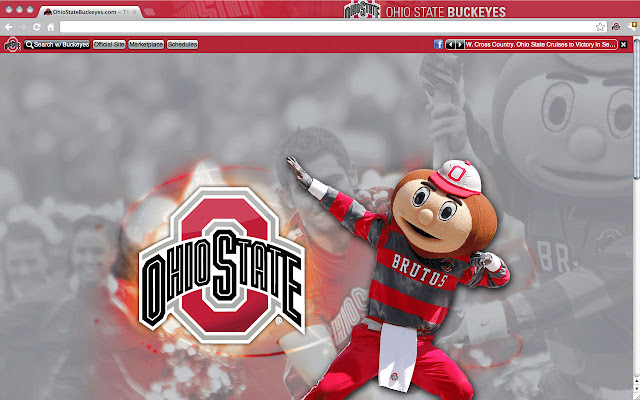 Ohio State University Theme  from Chrome web store to be run with OffiDocs Chromium online